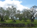 26 /48 - Ballade à Terre & Humanisme, en Ardèche