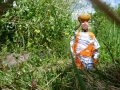 20 /21 - Le jardin et les abeilles de Terre & Humanisme