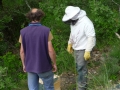 13 /17 - Terre et humanisme, les abeilles essaiment