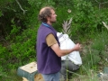 16 /17 - Terre et humanisme, les abeilles essaiment