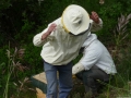 7 /17 - Terre et humanisme, les abeilles essaiment