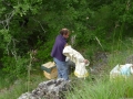 8 /17 - Terre et humanisme, les abeilles essaiment