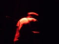 Tremplin de la chanson 2013 - groupe Walz - 8/23